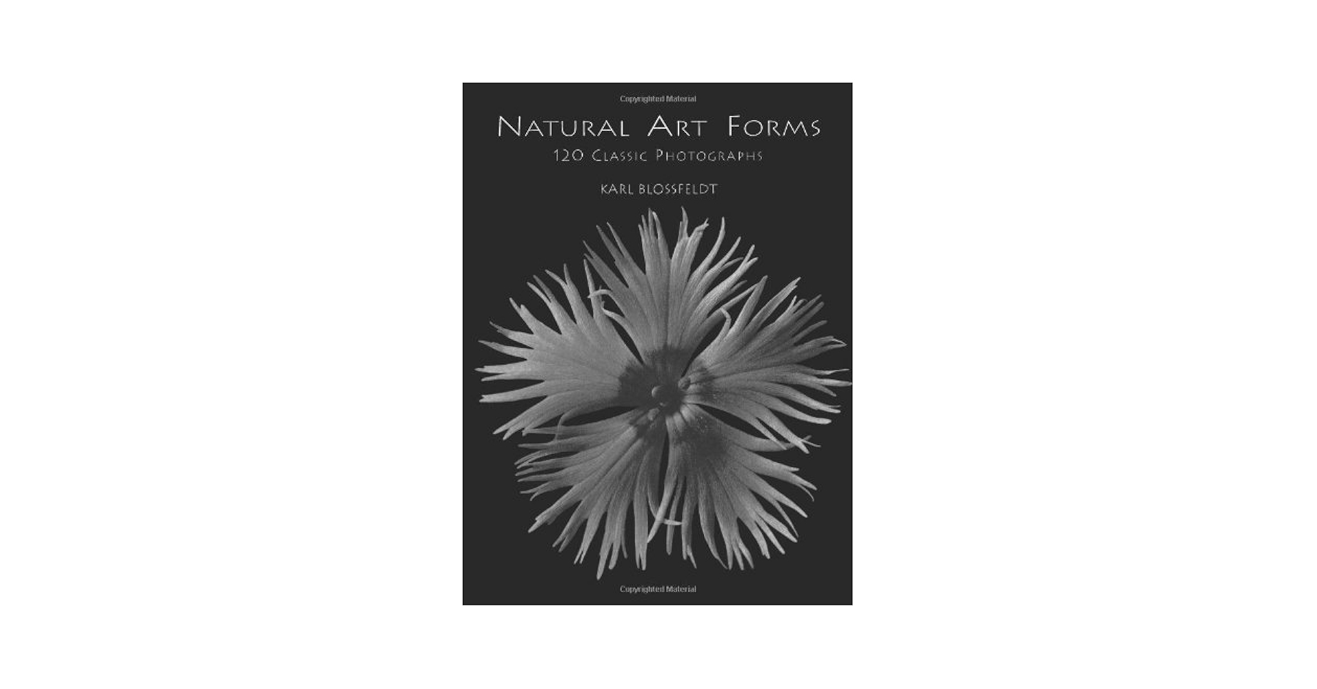 アート・デザイン・音楽 90s Karl Blossfeldt art book 90s Karl Blossfeldt art book - メルカリ